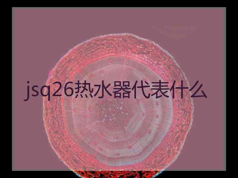 jsq26热水器代表什么