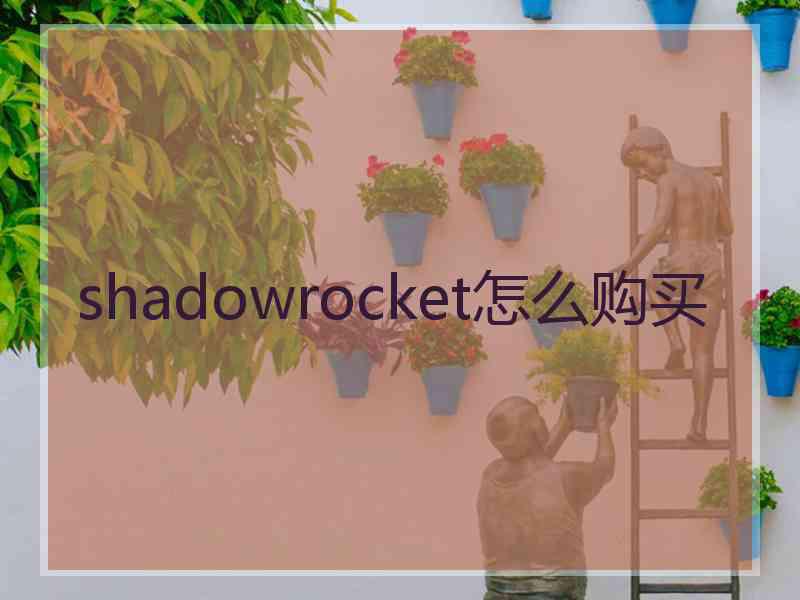 shadowrocket怎么购买