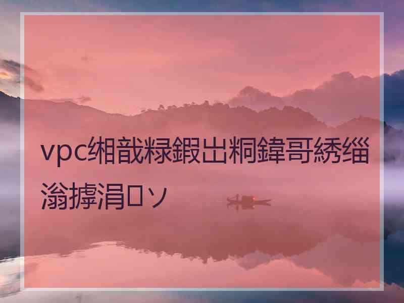 vpc缃戠粶鍜岀粡鍏哥綉缁滃摢涓ソ