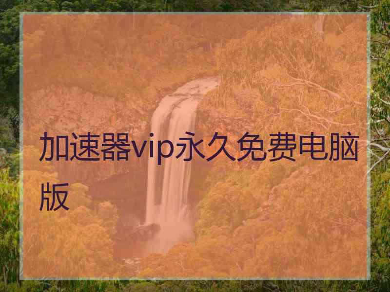 加速器vip永久免费电脑版