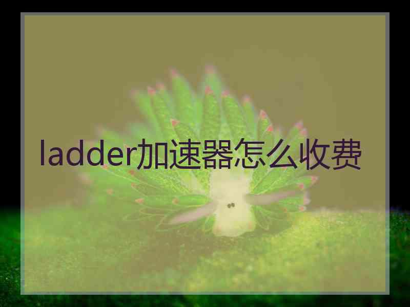 ladder加速器怎么收费