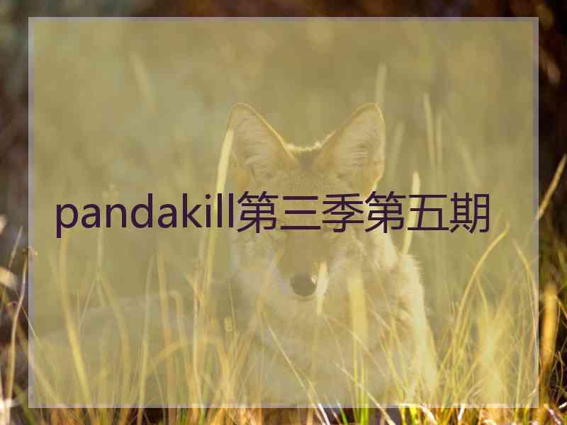 pandakill第三季第五期