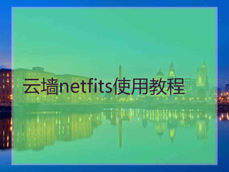 云墙netfits使用教程