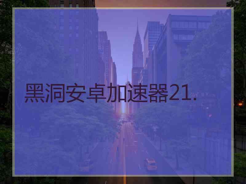 黑洞安卓加速器21.