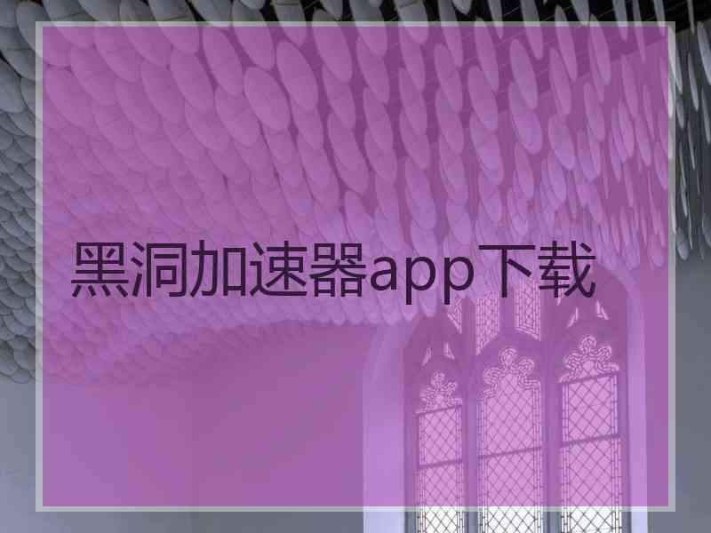 黑洞加速器app下载