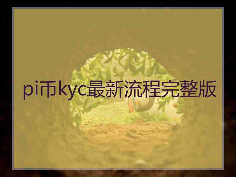 pi币kyc最新流程完整版