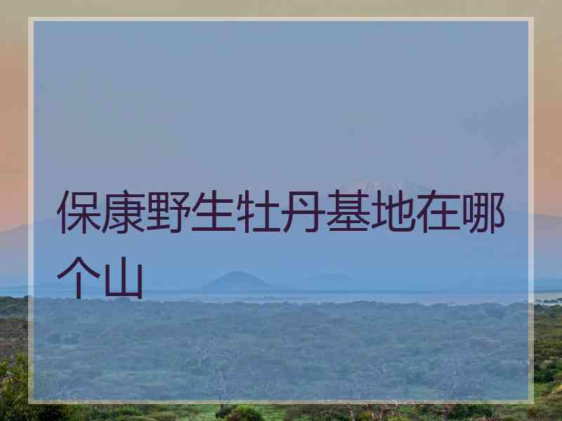 保康野生牡丹基地在哪个山