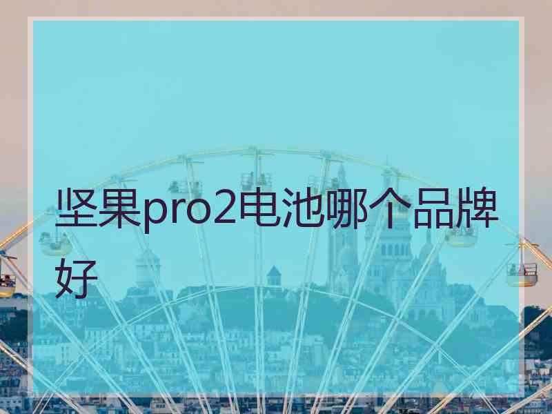 坚果pro2电池哪个品牌好