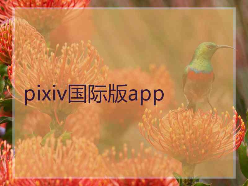 pixiv国际版app