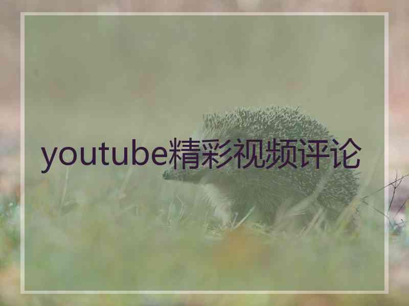 youtube精彩视频评论