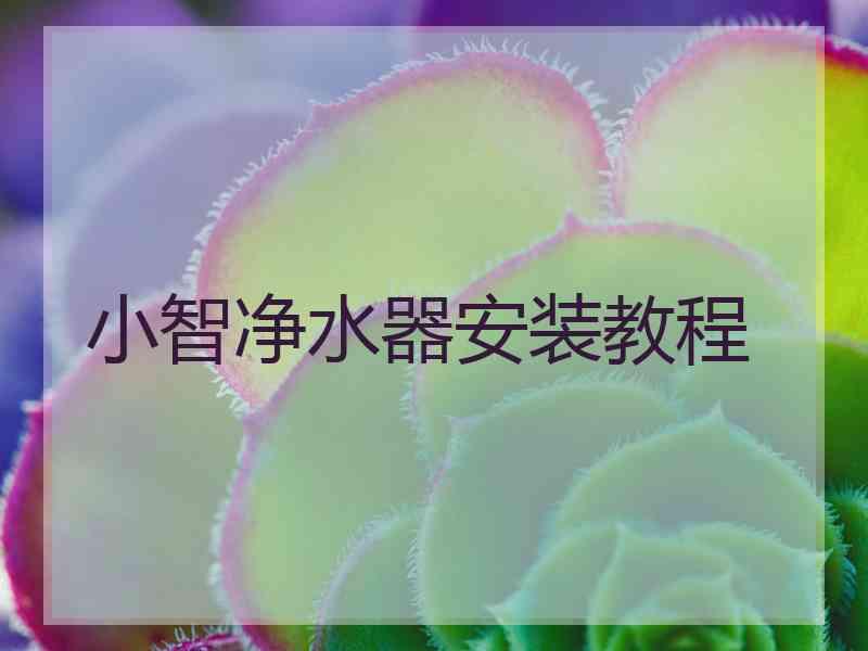 小智净水器安装教程