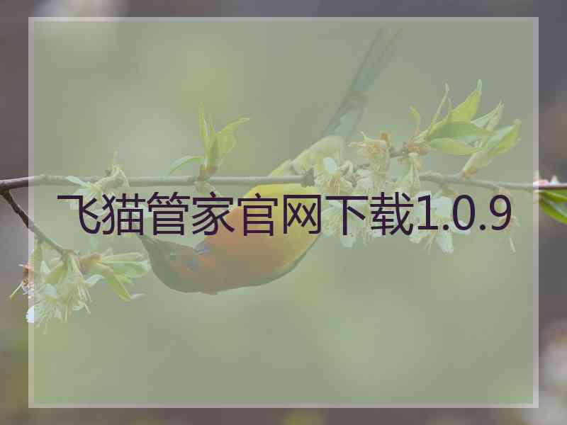 飞猫管家官网下载1.0.9