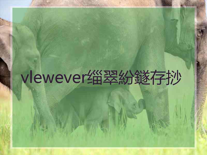 vlewever缁翠紛鐩存挱