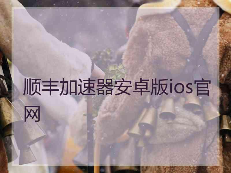 顺丰加速器安卓版ios官网