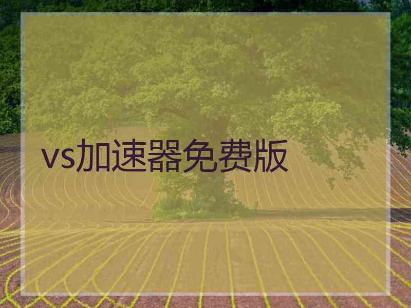 vs加速器免费版