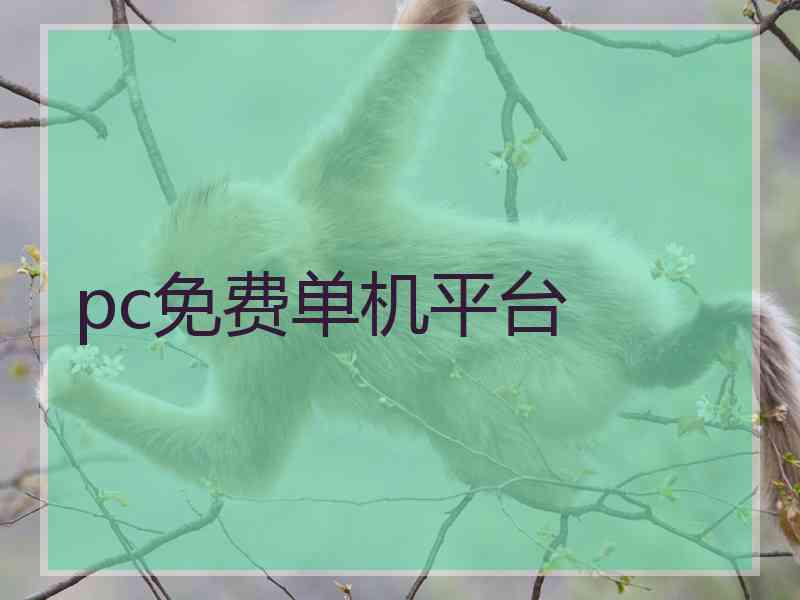 pc免费单机平台