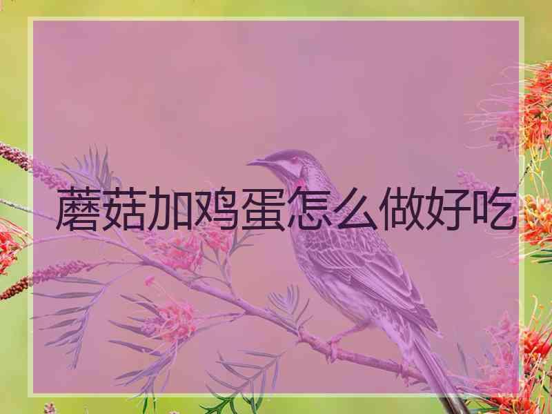 蘑菇加鸡蛋怎么做好吃