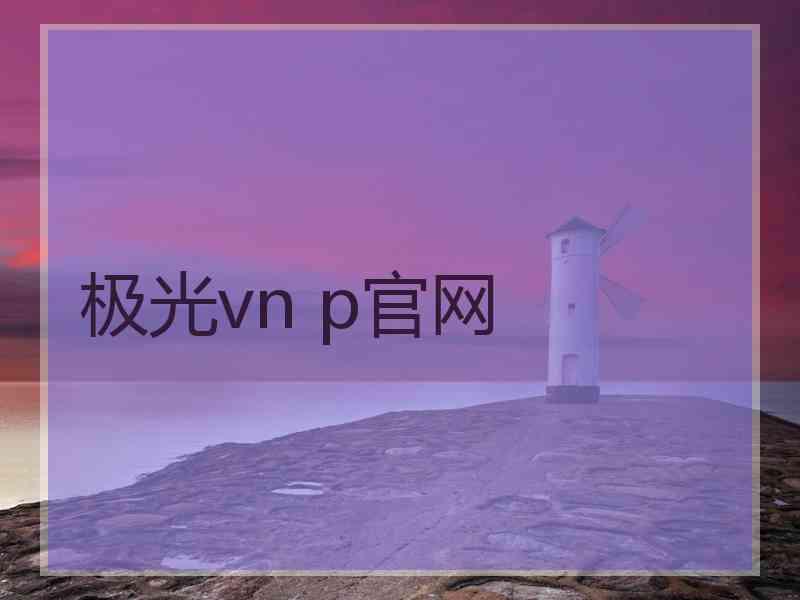 极光vn p官网