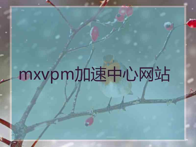 mxvpm加速中心网站