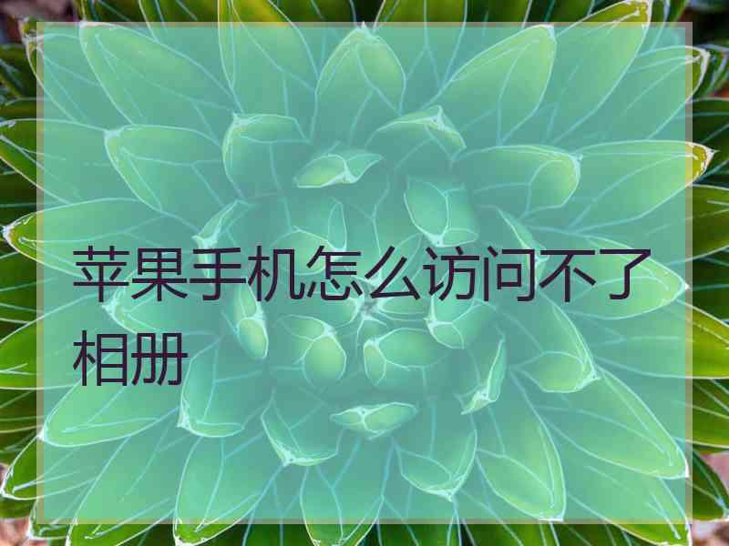 苹果手机怎么访问不了相册