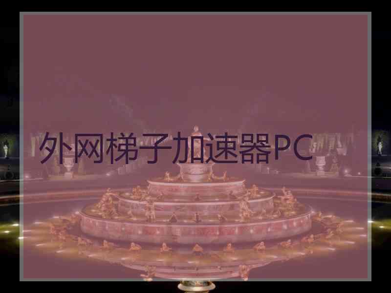 外网梯子加速器PC