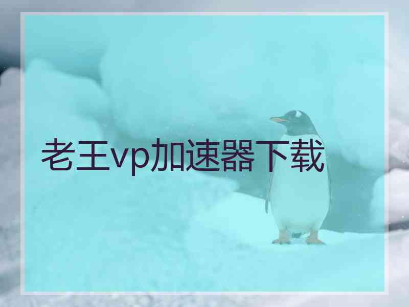 老王vp加速器下载