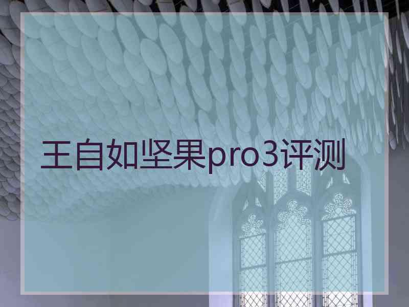 王自如坚果pro3评测