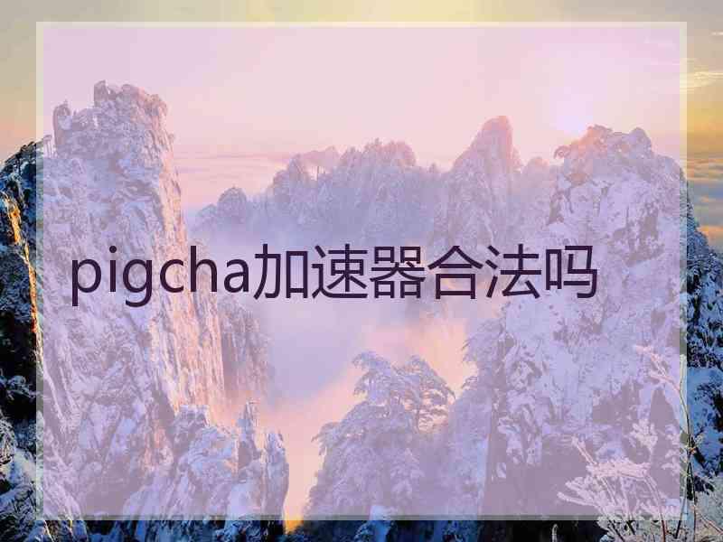 pigcha加速器合法吗