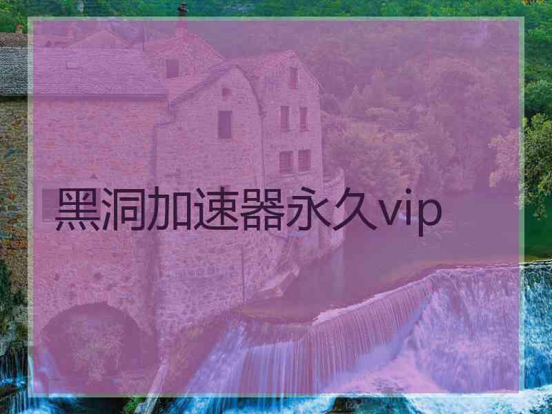 黑洞加速器永久vip