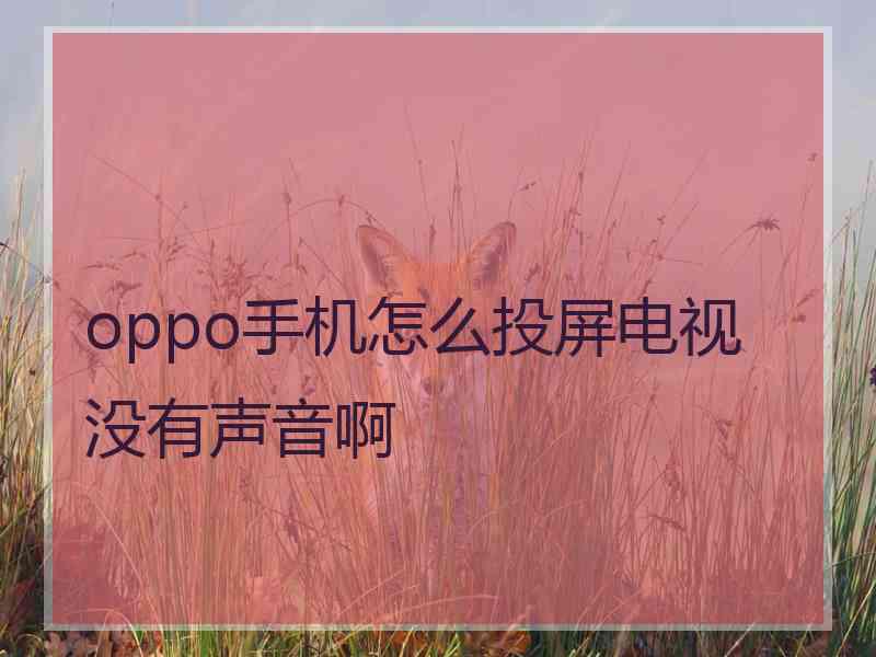 oppo手机怎么投屏电视没有声音啊