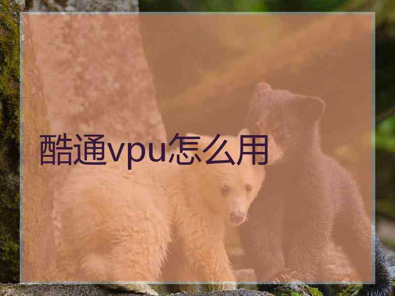 酷通vpu怎么用