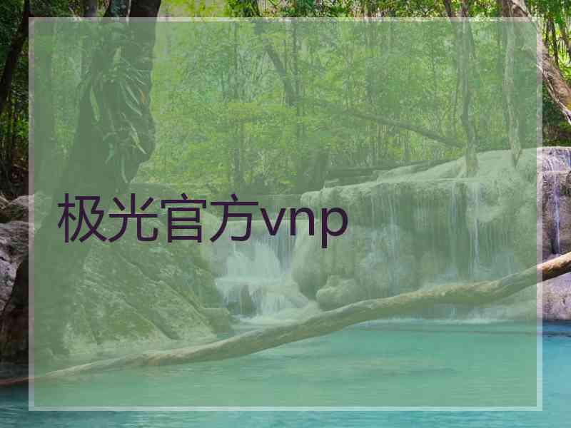 极光官方vnp