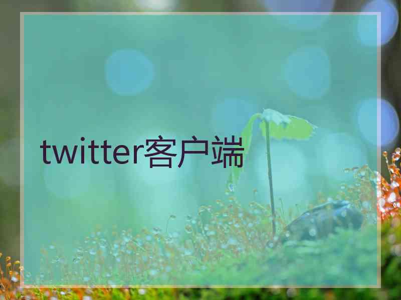 twitter客户端