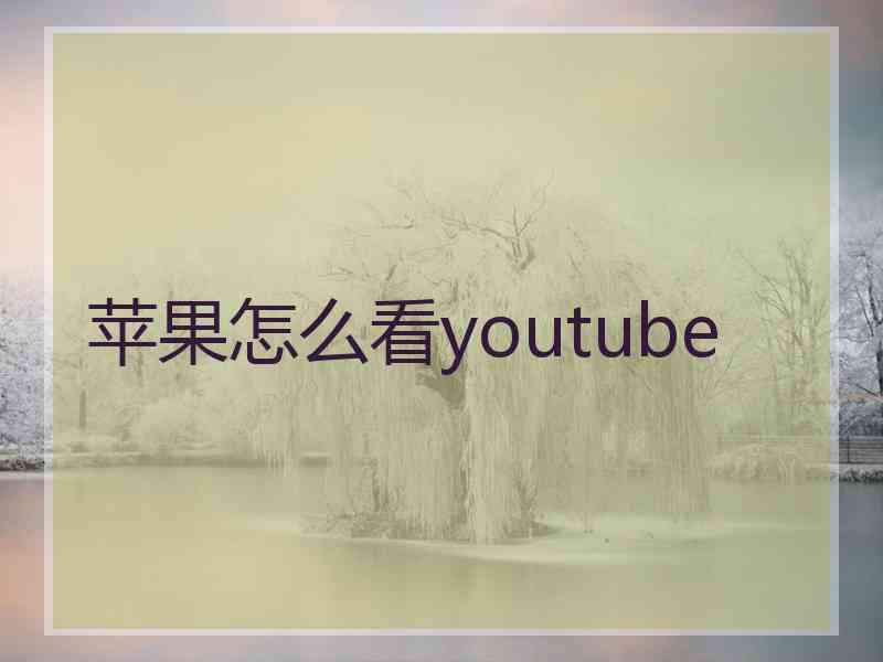 苹果怎么看youtube