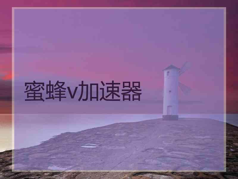 蜜蜂v加速器