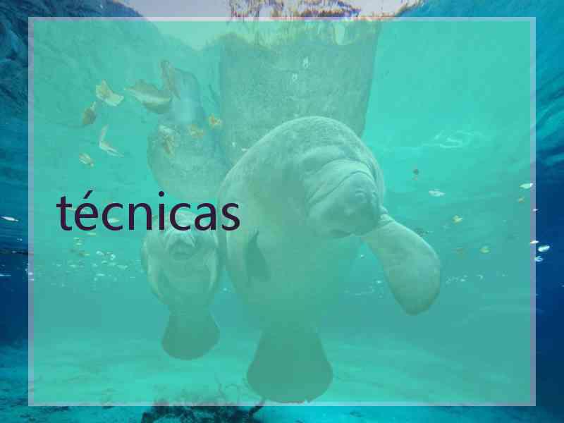 técnicas