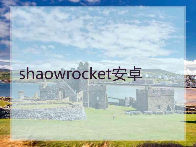 shaowrocket安卓