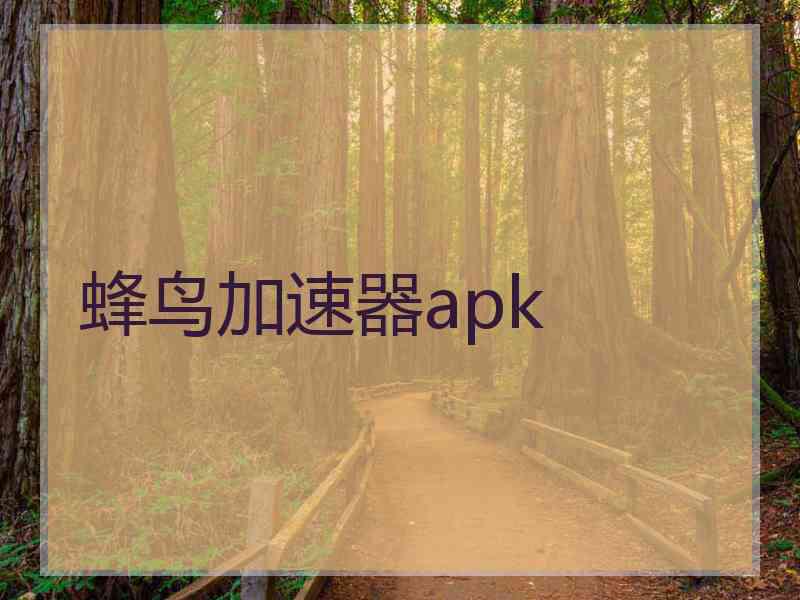 蜂鸟加速器apk