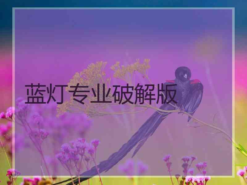 蓝灯专业破解版