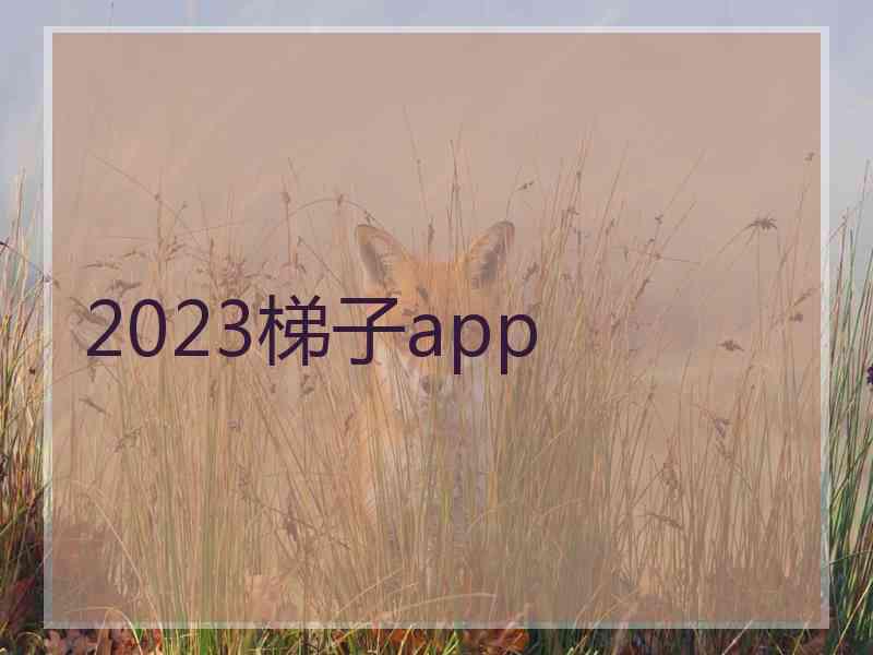 2023梯子app