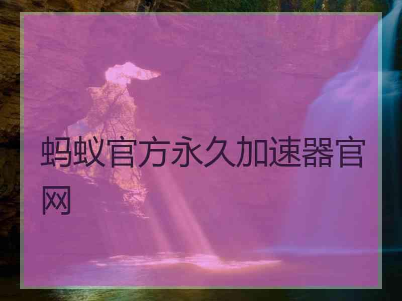 蚂蚁官方永久加速器官网