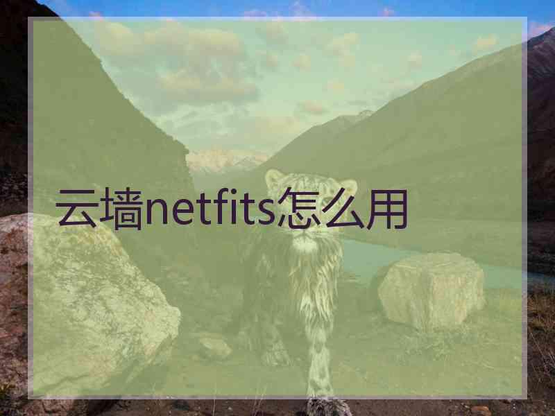 云墙netfits怎么用