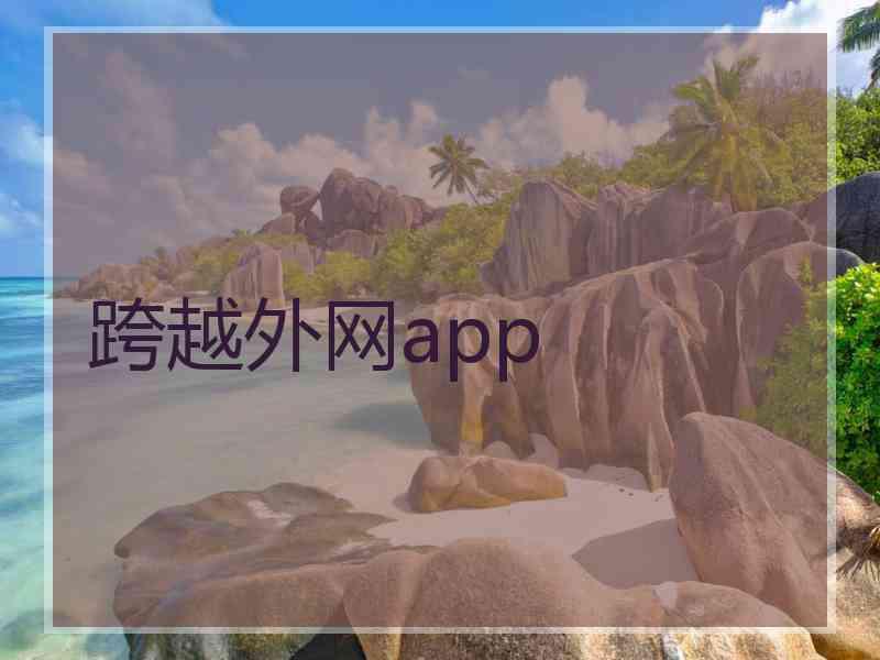 跨越外网app