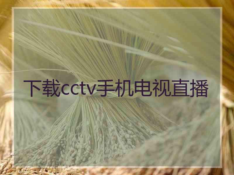 下载cctv手机电视直播