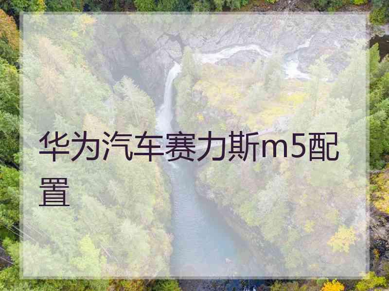 华为汽车赛力斯m5配置