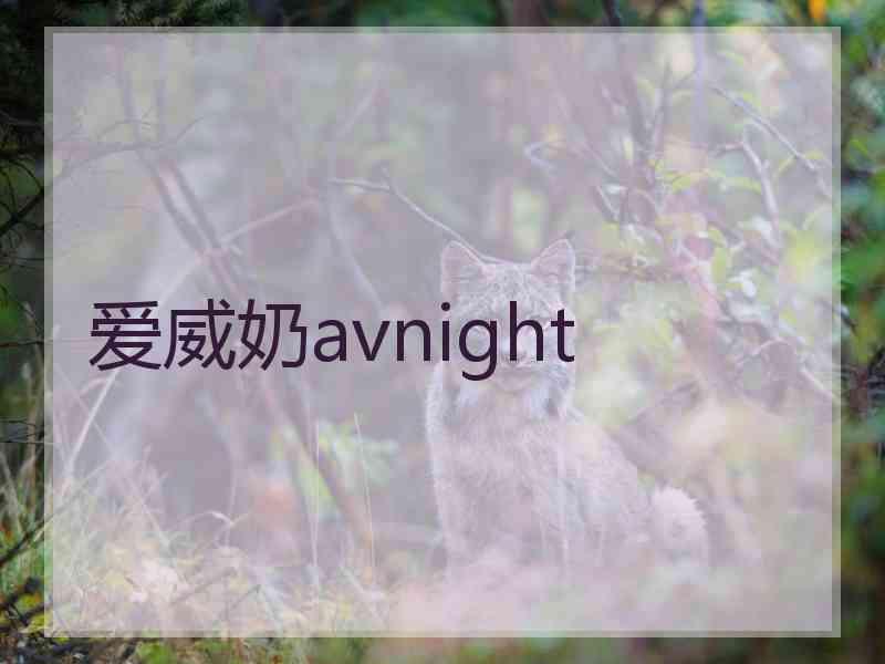 爱威奶avnight