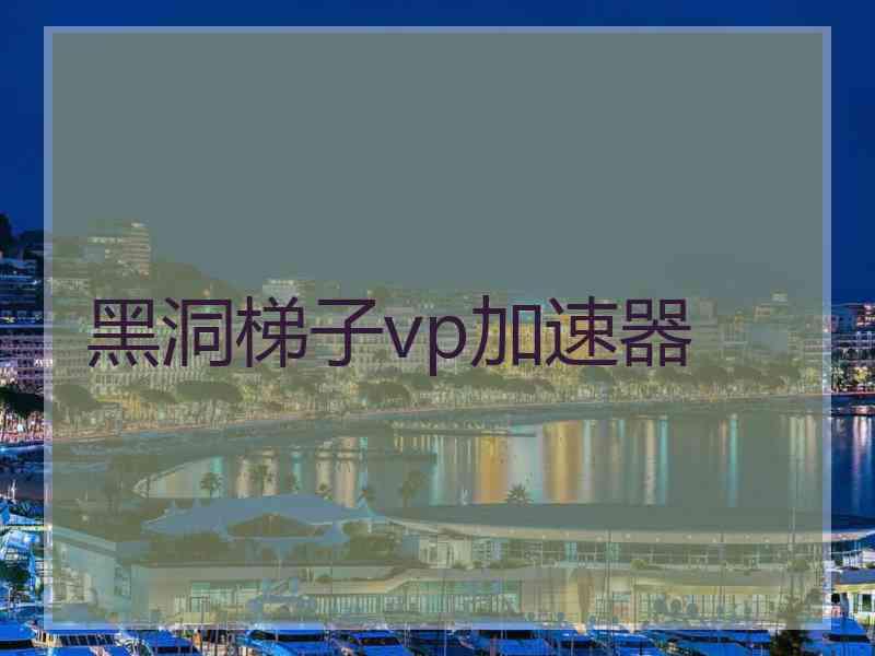 黑洞梯子vp加速器