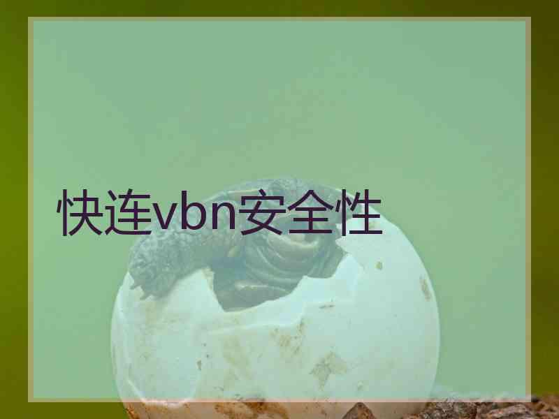 快连vbn安全性