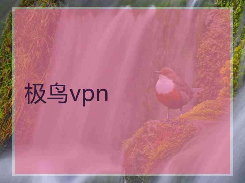 极鸟vpn