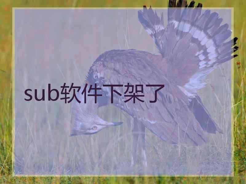 sub软件下架了